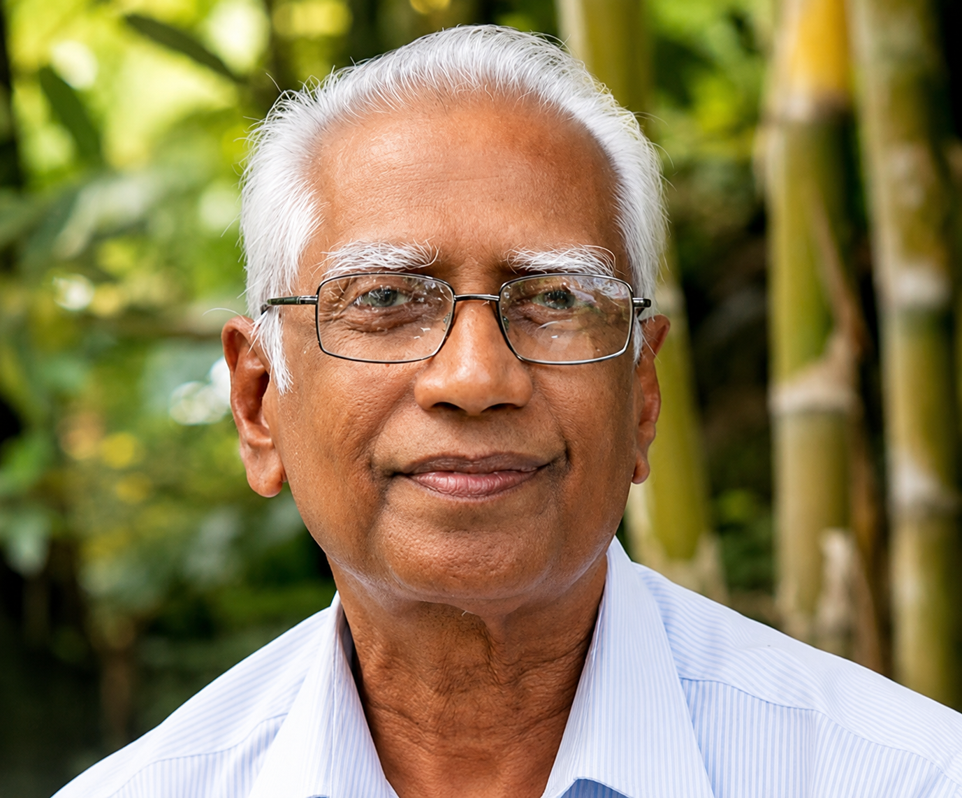 K V Dayal